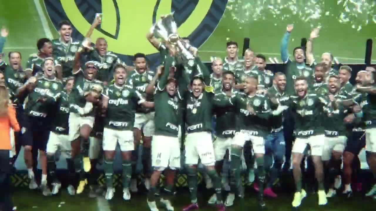 ZAGUEIRÃO MURILO DO PALMEIRAS | CAMPEÃO BRASILEIRO