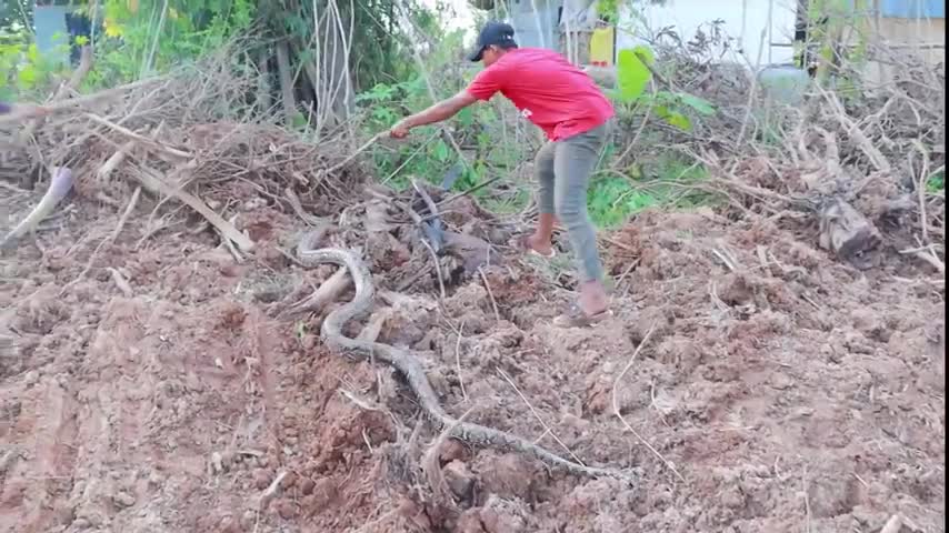 JCB | Really Scary Road Construction By Excavator With Snack 🥨