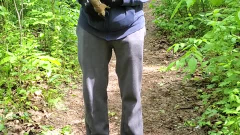 Friendly Squirrels Favor Face