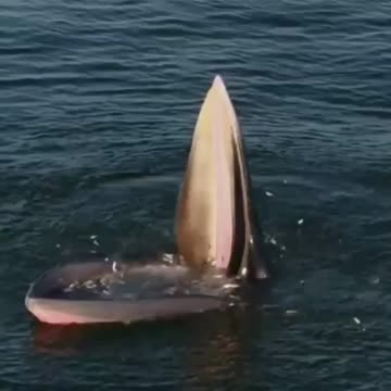 Sohanallah wabihamdo