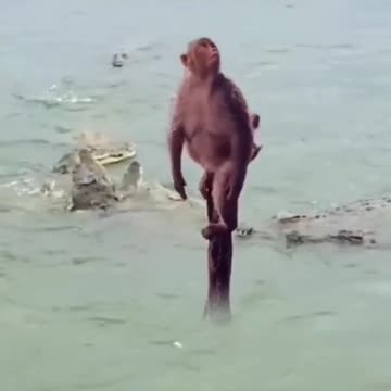 Mother saves her baby