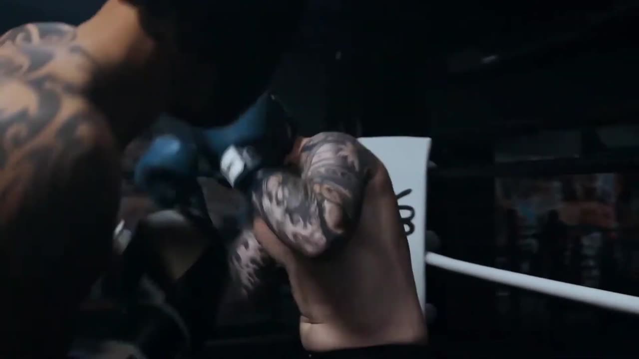 Boxing Cinematic Stock Footage | Boxing Video