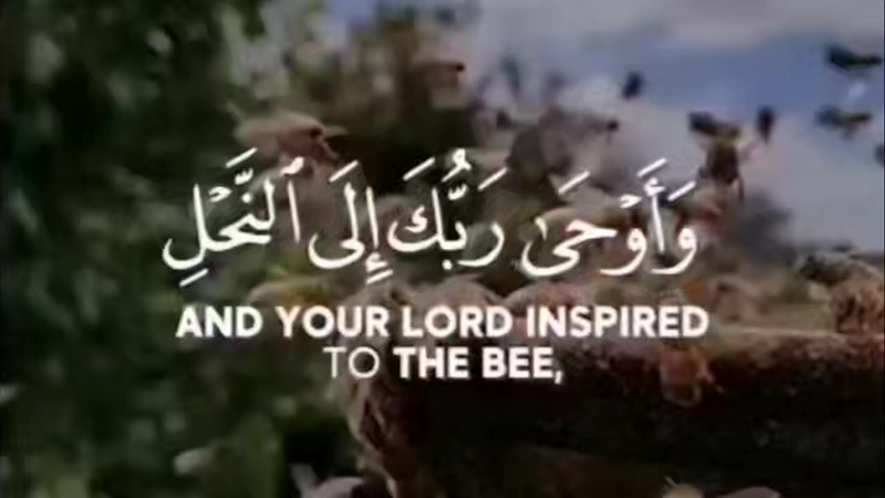 Surah An-Nahl 68-69