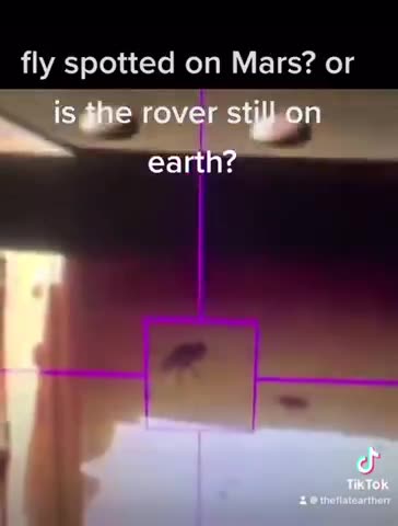 Then there was the time NASA found bugs on Mars