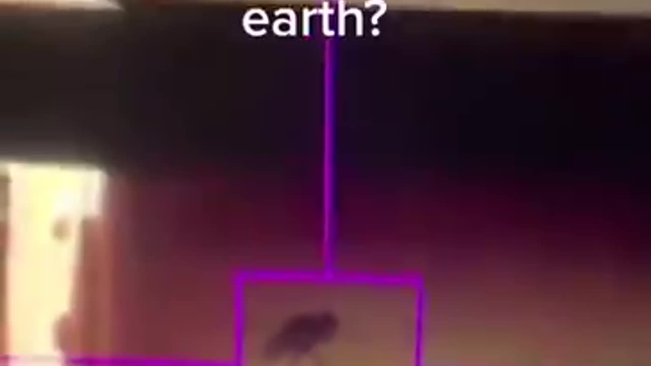 Then there was the time NASA found bugs on Mars