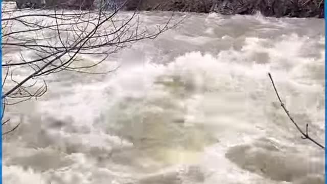 With floods like these nothing can stand in there way!!😮🌊