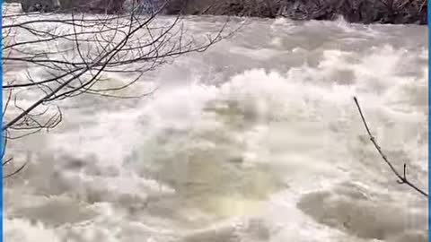 With floods like these nothing can stand in there way!!😮🌊