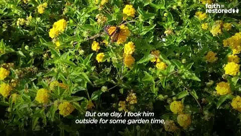 Woman Repairs Butterfly's Broken Wing With A Feather | The Dodo Faith = Restored