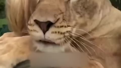 ##CUTE ANIMALS VIDEO PLAYING WITH MAN 🖼️🖼️##SPECIAL PART