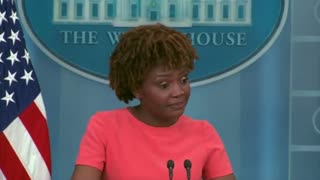 You’ll Never Guess What The New Press Secretary Blames Shootings On…