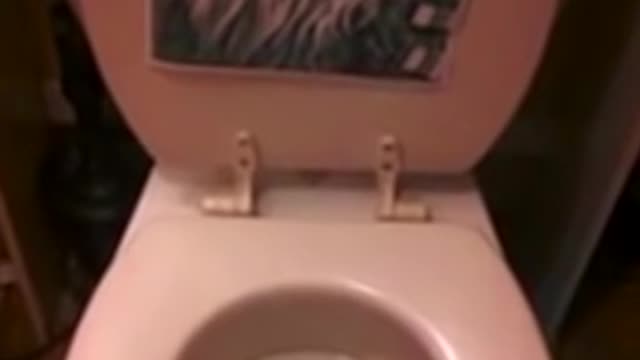 Toilet Makes Strange yet Very Familiar Sound