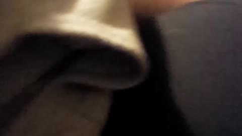 “Is that a guinea pig in your pocket"?