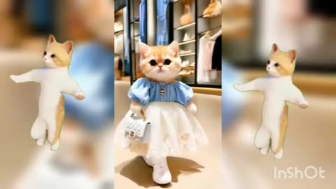 Cute animal kitten 😻💕 #cat #cute #kitten #pets #meow #videos #shorts