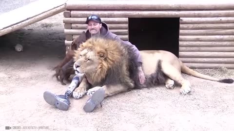 YEARS LATER, Animals Met Their Owners!