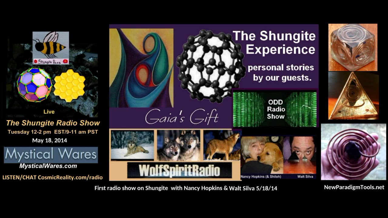 Nancy Hopkins and Walt Silva on their first show talking Shungite from May 18, 2014