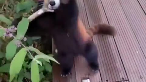 Seems to be going well so far: REMAIN BUCKLED. Turbulence approaching