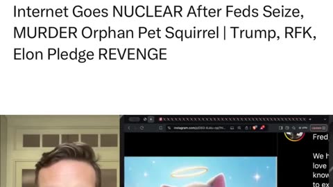 Politics - 2024 RIP Peanut The Squirrel Killed By NY Liberal Globalist Commie SS Fucks Hang Them All