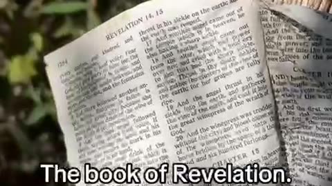 Bible From Hurricane Helene In NC Stuck To Pole On Revelation 14 & 15