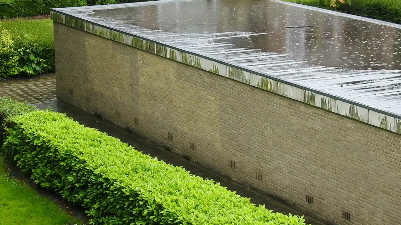 Rain | Night | Forest | Nature | Free HD Videos - No Copyright footage
