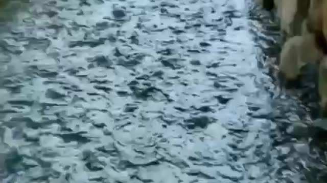 Watch beautiful Yemen