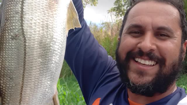 lindo camurim (robalo)