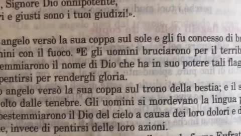 LA BIBBIA Di GERUSALEMME. L APOCALISSE di GIOVANNI (2 parte)