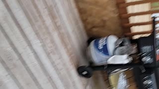 Deck project part 2