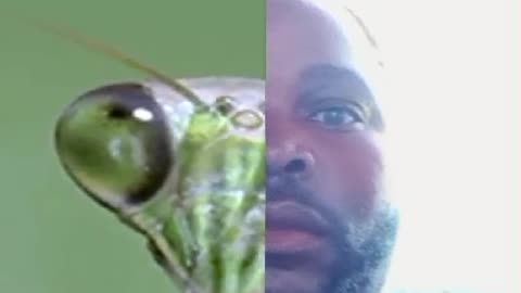 My Twin Brother WoW