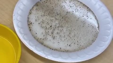 Teacher explain students the importance of handwash