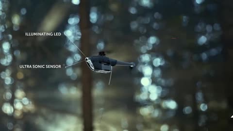 Goodman- Drone/Object was Closer than it Appeared, Could be Dragonfly but what are the Chances?