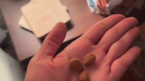 Apricot Seeds > Health Insurance
