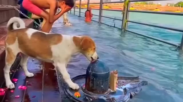 शिव तांडव स्तोतम #हर#हर#महादेव #shorts #whatsapp status