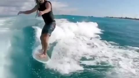 Dolphin and surf