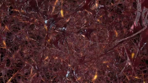 Unlocking the Mystery: How Vitamin A Influences Mental Health