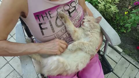 Woman stroking the cat