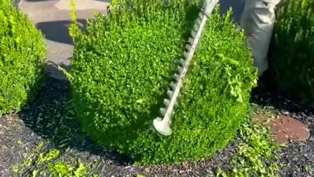 Cutting grass machine