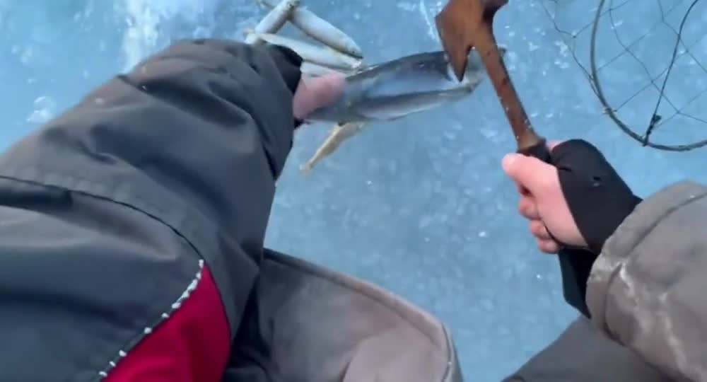 A rare technique for catching the sea