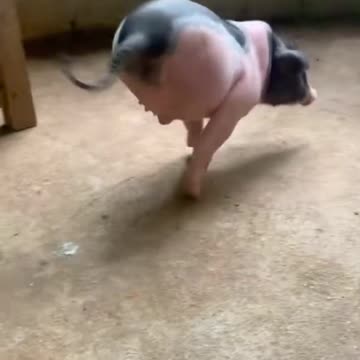 Overcoming Adversity