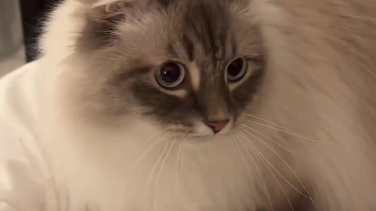 When she shakes, she comes๐๐