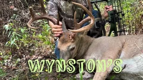 Wynston’s 7.5 year old 8 point