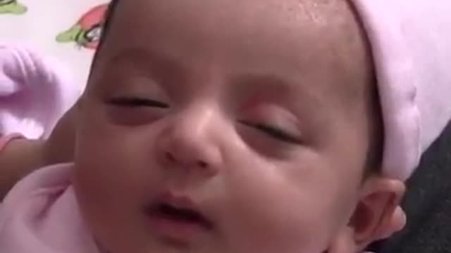 Don't See This Excessive Cuteness Video