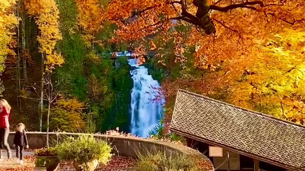 🏞️ Discover the Majestic Waterfalls of Canton Bern: A Must-Visit Destination! 🌲