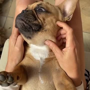 Quarentine diaries another day, another massage