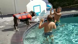 Dog playing basketball with kids