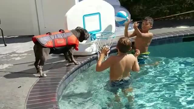 Dog playing basketball with kids