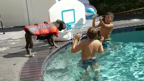 Dog playing basketball with kids