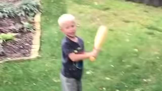 Best Funny Video Clips #shorts (146)