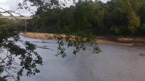 30.10.2024 The Barron River, Kuranda (4)