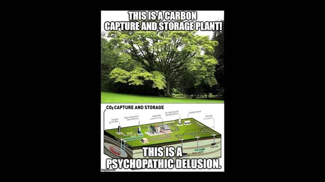 KNOBnoxious Clips - Episode 3 - Carbon Plant Meme
