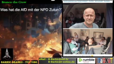 Was hat die AfD mit der NPD Zutun Ist die AfD abwegig